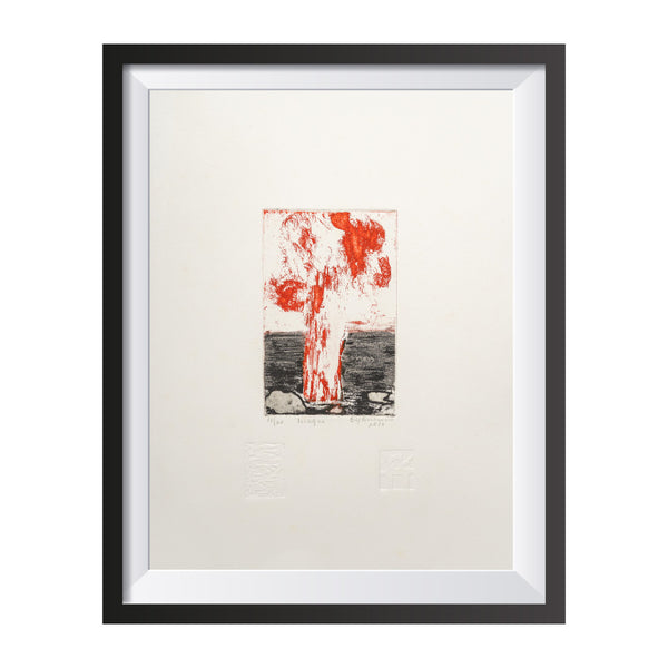 Serie Volcanes de Costa Rica IV