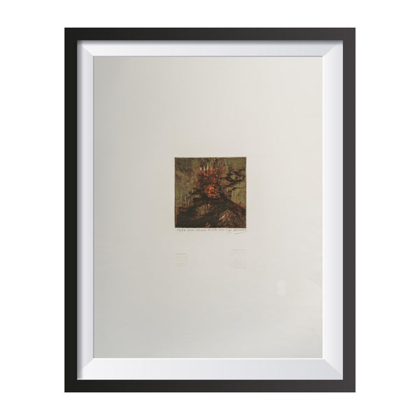 Serie Volcanes de Costa Rica XIX