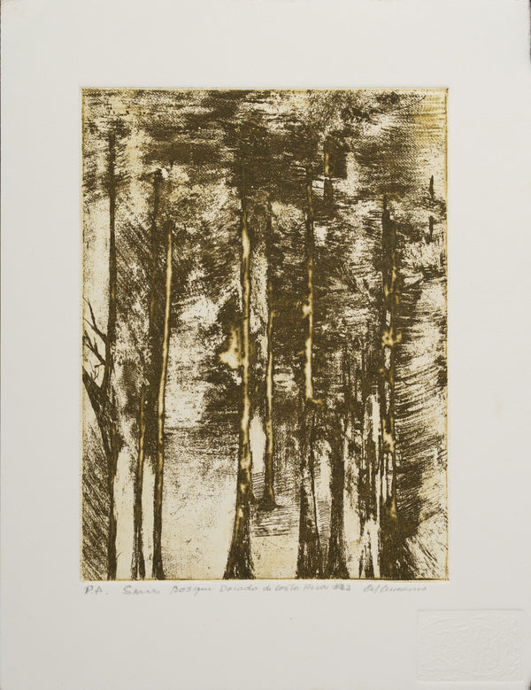 Serie Bosques de Costa Rica