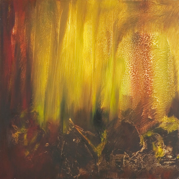 Guanacaste - 127 × 130 cm · 2001